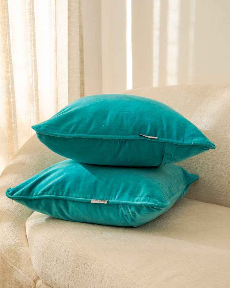 Rizzy Velvet Cushion