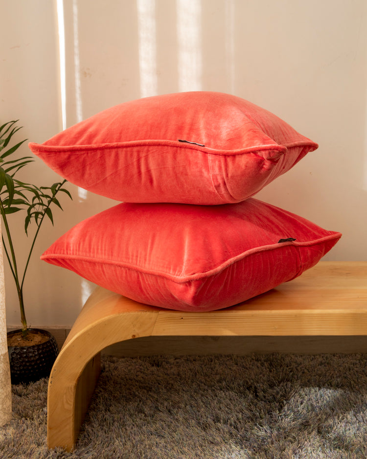 Rizzy Velvet Cushion